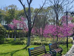 -狼山风景名胜区