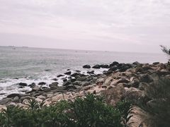 -广东惠东海龟国家级自然保护区