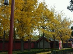 -景山公园