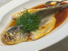-明湖楼·经典鲁菜山东海鲜(大明湖店)