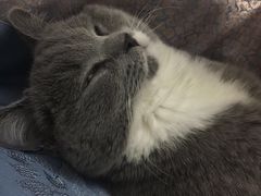-一兆韦德健身