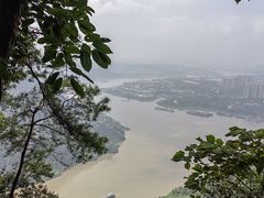 -铁山坪森林公园