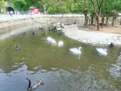 -黔灵山公园
