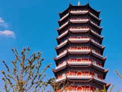 -皇罗禅寺