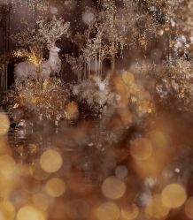 点击看大图 -华侨城洲际大酒店·宴会厅