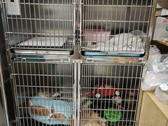 -中农大我爱我爱动物医院·核磁CT·猫病·24小时夜诊中心(石佛营店)