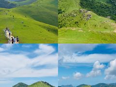 -大姆山草场