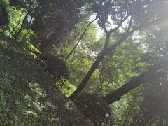 -青岛德国总督楼旧址博物馆