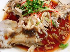 清蒸多宝鱼-海香园饭店
