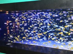 -成都浩海立方海洋公园