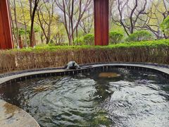 -盘锦红海温泉乐园