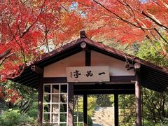 -中国茶叶博物馆(双峰馆区)