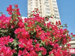 -深圳市人民医院(留医部)