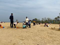 -瑶湖郊野森林公园