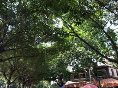 -黄埔古港