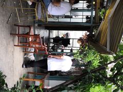 -喵屿·大理花园猫咖