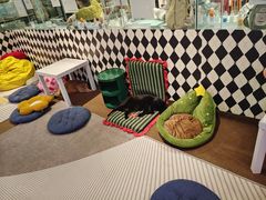 -大型宠物商超·宠海王国·宠物猫狗活体·用品·美容(新世界百货重庆店)