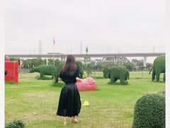 -麻涌飞鸭开心农场