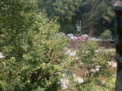 -岭上人家金屋瑶筐烤全羊(永嘉店)