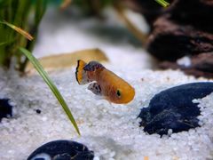 -上海海洋水族馆