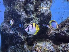 -大连老虎滩海洋公园
