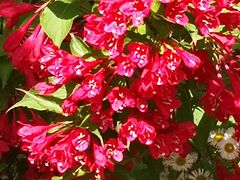 -昆山城市生态森林公园