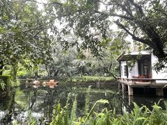 -广州兰圃