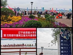 -丁香湖公园
