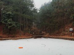 -四明山国家森林公园