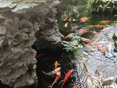 -广州白天鹅宾馆