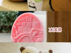 -成都大熊猫繁育研究基地