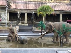 -南宁方特东盟神画