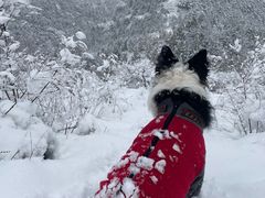 -蟠龙山长城景区