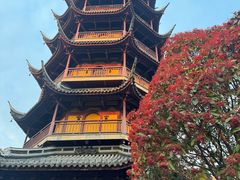 -红梅公园