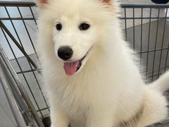 -CoCo都可(香港名都店)