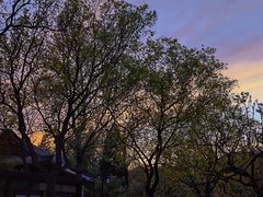 -宣武艺园