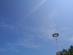 -广州市流溪河国家森林公园