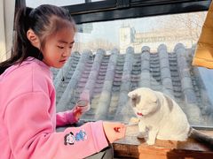 -猫小院猫主题餐厅(南锣旗舰店)