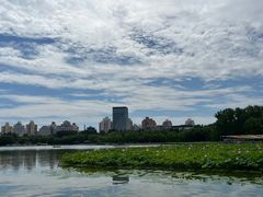 -莲花池公园