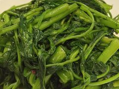 -曾牛肉