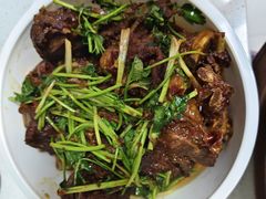 -天鹅到家·保姆月嫂育儿嫂(朝阳店)
