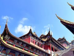 -东莞市大岭山森林公园