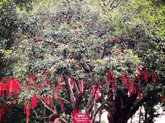 -杭州香格里拉·香宫中餐厅