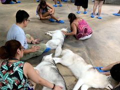 -TrueLove @ Neverland (Husky Cafe)
