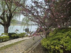 -羊山湖公园
