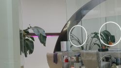-In Style Hair Salon