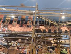 -卡通尼·Safari非洲探索乐园·生日会(金桥国际商业广场店)