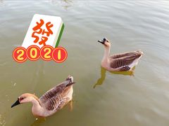 -海珠湖公园