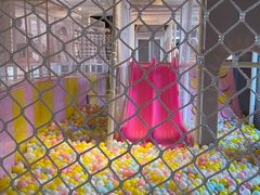 -成都安仁福朋喜来登酒店