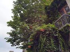 -连云港民主路老街